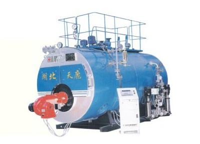 WNSϵ��ȼ�͚�����偠t